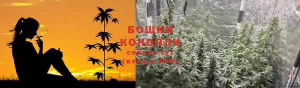 a pvp Белокуриха