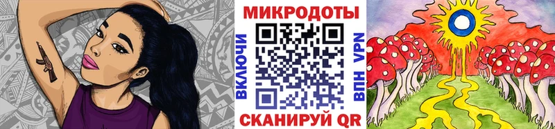 Псилоцибиновые грибы мицелий  Дмитриев 
